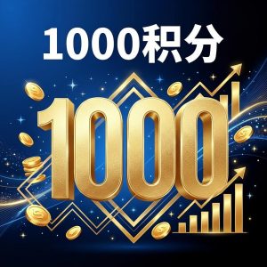 账户充值1000积分